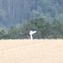 Tauberpokal 2016 Wenkheim (19)